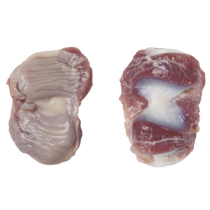 Wholesale Frozen Chicken Gizzard Supplier