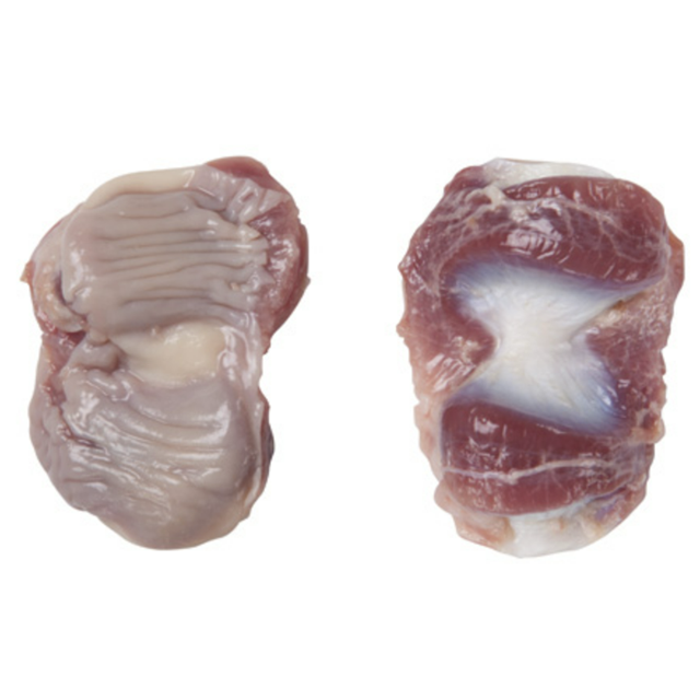 Wholesale Frozen Chicken Gizzard Supplier