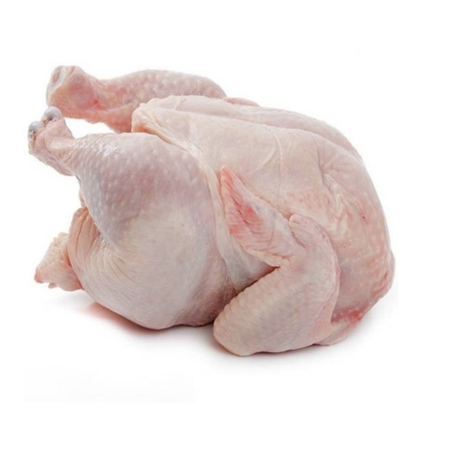 Wholesale Frozen Whole Chicken Supplier