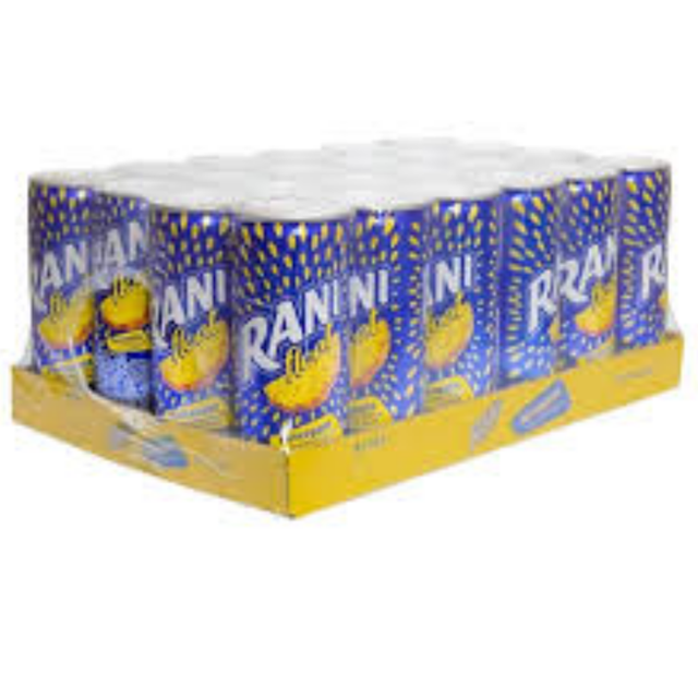 Rani juice Drink 24 x 240ml Wholesale